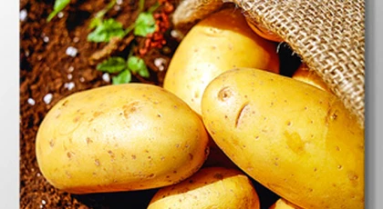 Sonbahar patates üretim dönemine itirazlar 18 Ocak’a kadar yapılabilecek